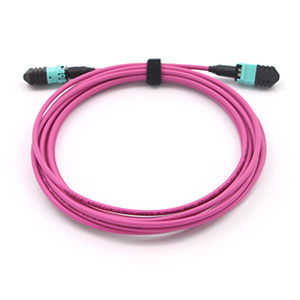 MPO Polarity Changeable Patch Cord